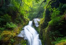 Manage stress and support mental/emotional health